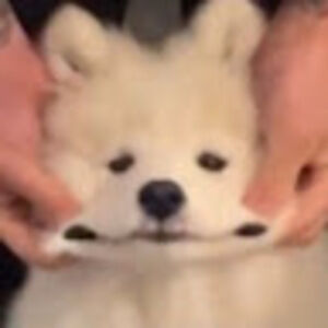 Meet your Posher, Awesome